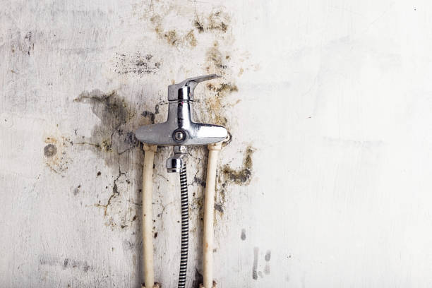 Best Localized Mold Remediation (e.g., coastal areas, humid climates) in East Bakersfield, CA