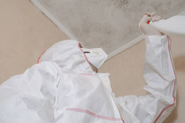 Best HVAC Mold Remediation in East Bakersfield, CA