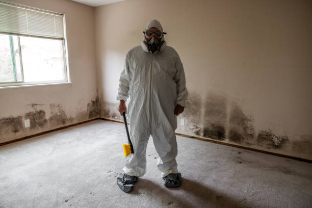 Best Bathroom Mold Remediation in East Bakersfield, CA